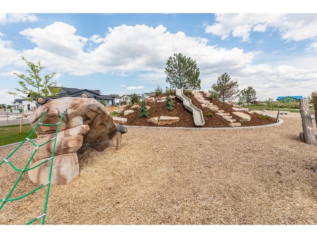 5349 Blainville St, Timnath, CO 80547