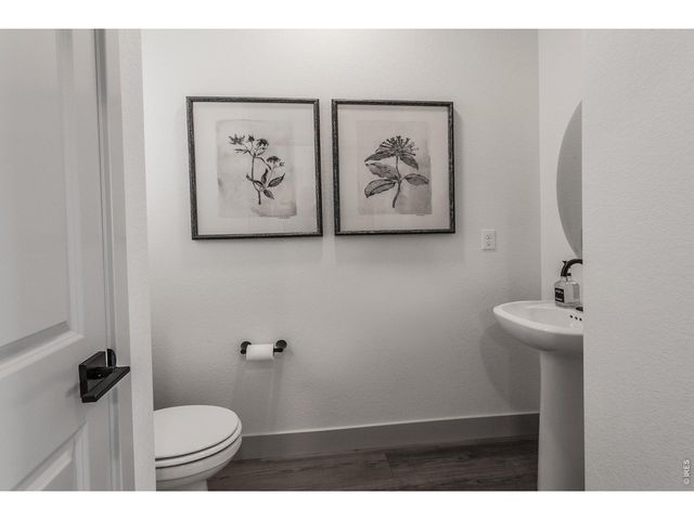 5349 Blainville St, Timnath, CO 80547