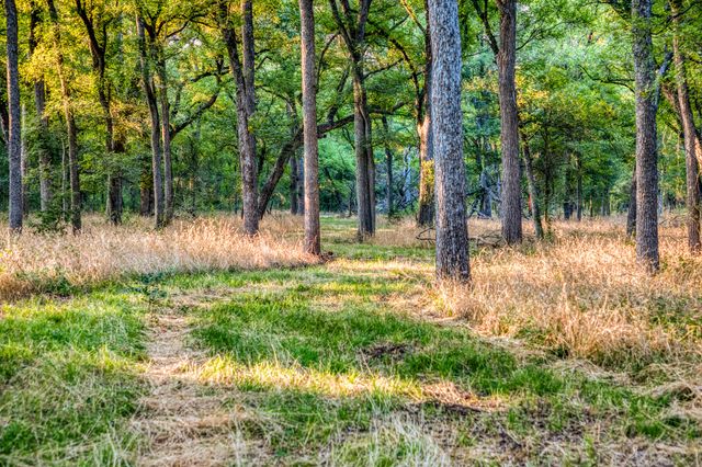 5519 County Road 222 Road, Hamilton, TX 76531