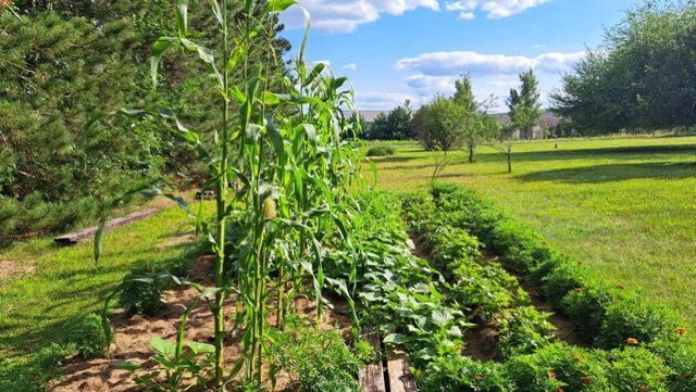 E11616 N Reedsburg Road, Baraboo, WI 53913