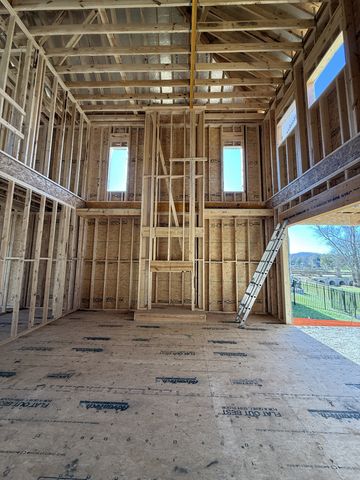 3005 Lilybelle Court, Arrington, TN 37014