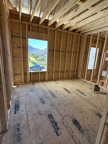 3005 Lilybelle Court, Arrington, TN 37014