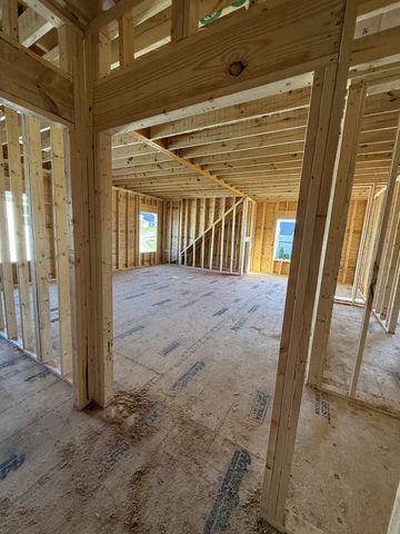 3005 Lilybelle Court, Arrington, TN 37014