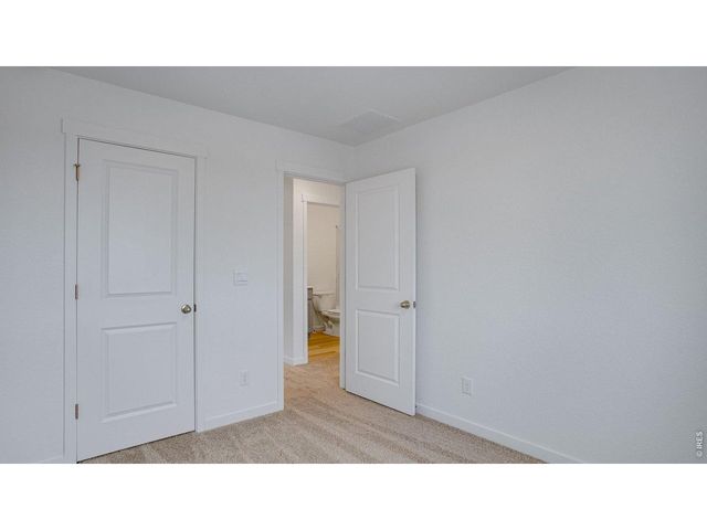 394 Tailholt Ave, Severance, CO 80550