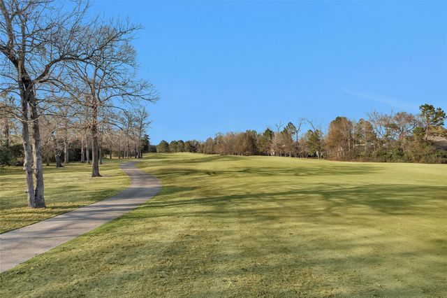 179 Del Monte Pines Drive, Montgomery, TX 77316