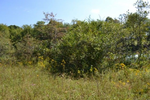 0 Taylor Place Rd, Jamestown, TN 38556