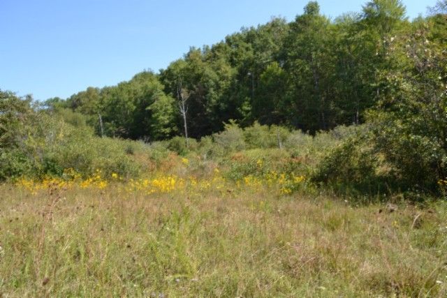 0 Taylor Place Rd, Jamestown, TN 38556