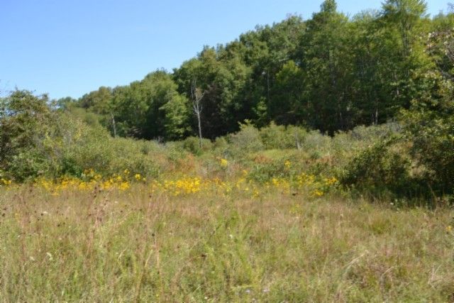 0 Taylor Place Rd, Jamestown, TN 38556