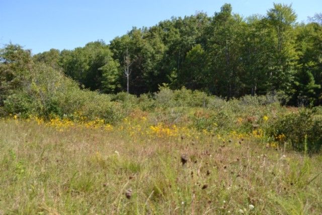 0 Taylor Place Rd, Jamestown, TN 38556