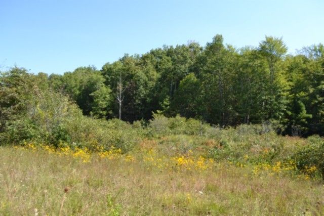 0 Taylor Place Rd, Jamestown, TN 38556