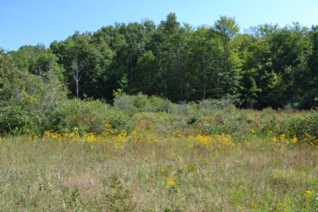 0 Taylor Place Rd, Jamestown, TN 38556