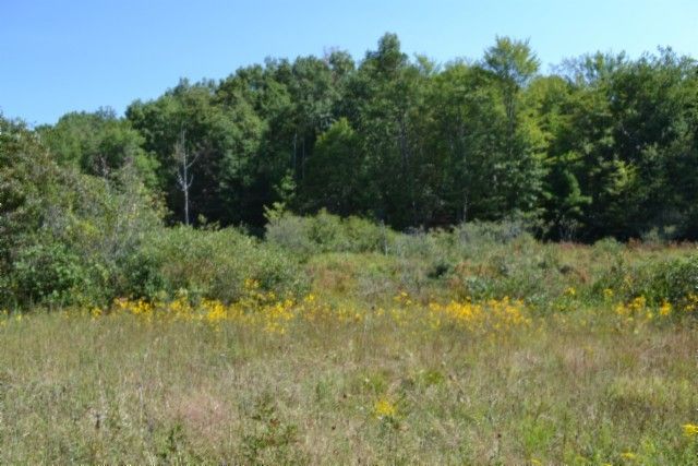 0 Taylor Place Rd, Jamestown, TN 38556