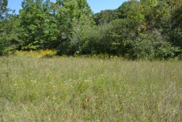 0 Taylor Place Rd, Jamestown, TN 38556