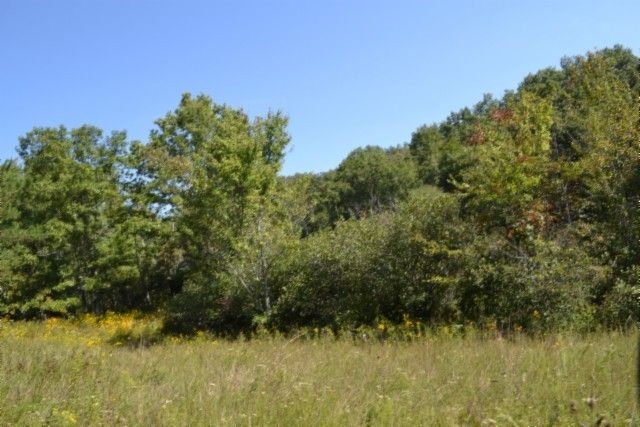 0 Taylor Place Rd, Jamestown, TN 38556