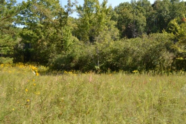 0 Taylor Place Rd, Jamestown, TN 38556