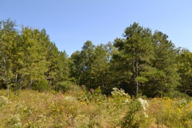 0 Taylor Place Rd, Jamestown, TN 38556