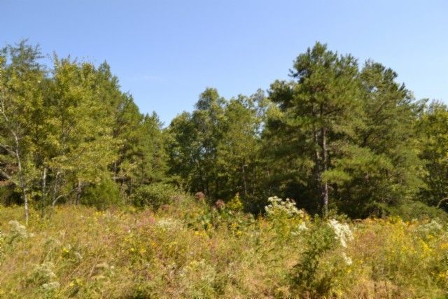 0 Taylor Place Rd, Jamestown, TN 38556