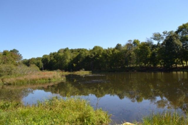 0 Taylor Place Rd, Jamestown, TN 38556