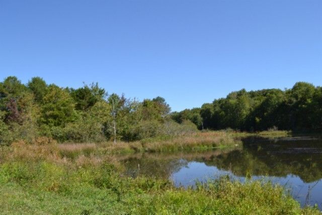 0 Taylor Place Rd, Jamestown, TN 38556