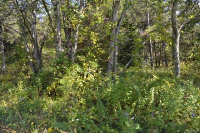 0 Taylor Place Rd, Jamestown, TN 38556