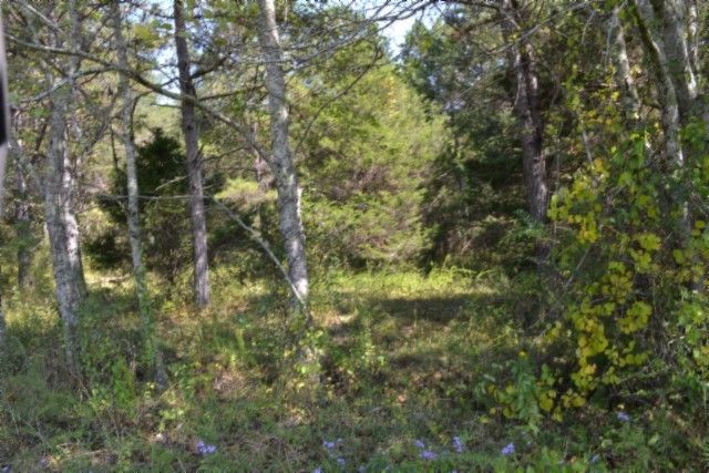 0 Taylor Place Rd, Jamestown, TN 38556