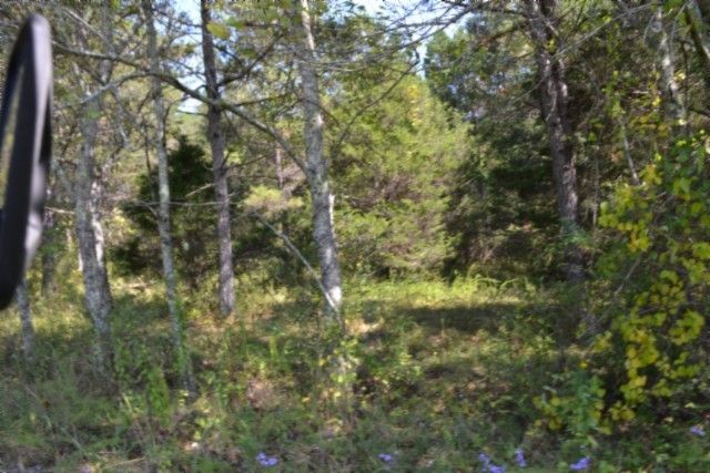 0 Taylor Place Rd, Jamestown, TN 38556