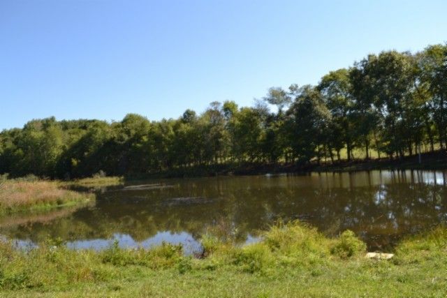 0 Taylor Place Rd, Jamestown, TN 38556