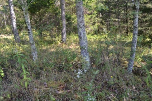 0 Taylor Place Rd, Jamestown, TN 38556