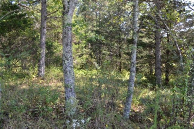 0 Taylor Place Rd, Jamestown, TN 38556