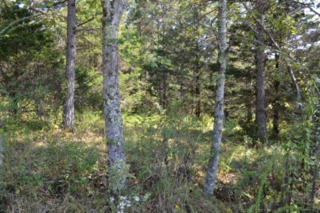 0 Taylor Place Rd, Jamestown, TN 38556