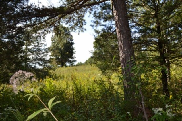 0 Taylor Place Rd, Jamestown, TN 38556