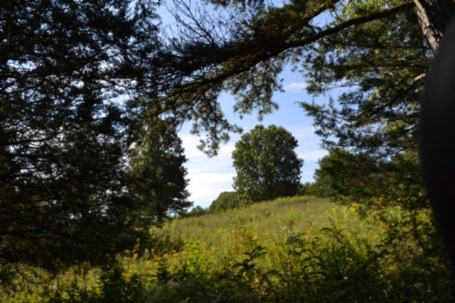 0 Taylor Place Rd, Jamestown, TN 38556