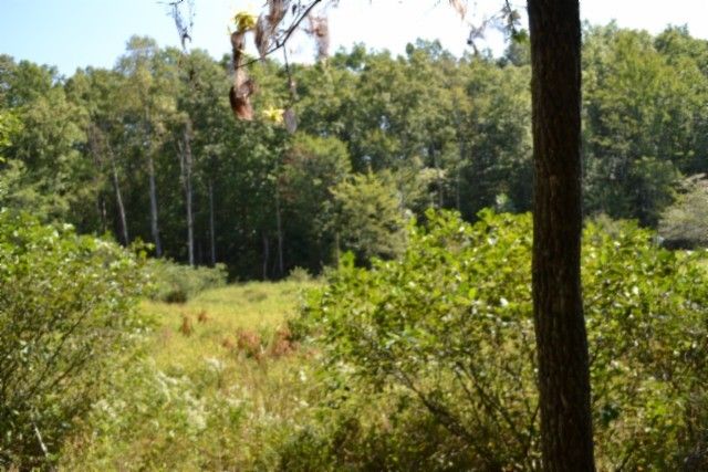 0 Taylor Place Rd, Jamestown, TN 38556