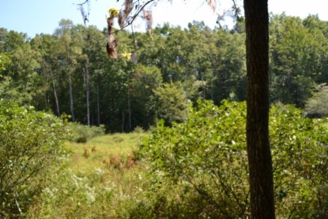 0 Taylor Place Rd, Jamestown, TN 38556