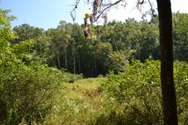 0 Taylor Place Rd, Jamestown, TN 38556