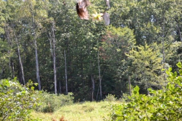 0 Taylor Place Rd, Jamestown, TN 38556