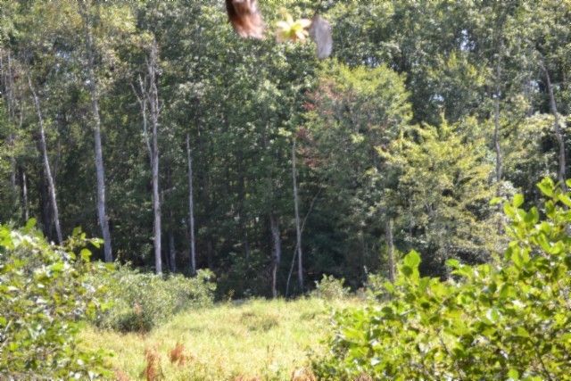 0 Taylor Place Rd, Jamestown, TN 38556