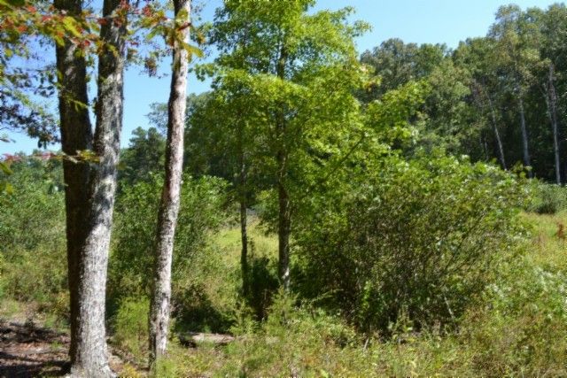 0 Taylor Place Rd, Jamestown, TN 38556