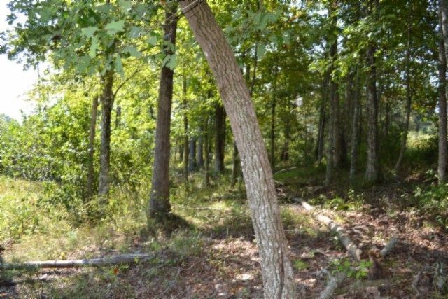 0 Taylor Place Rd, Jamestown, TN 38556