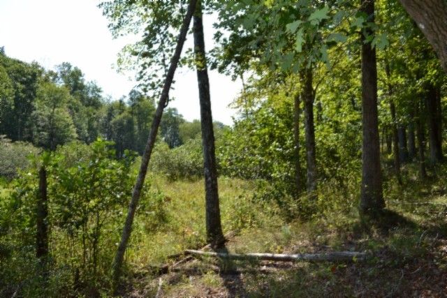 0 Taylor Place Rd, Jamestown, TN 38556