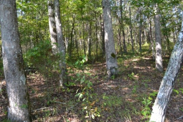 0 Taylor Place Rd, Jamestown, TN 38556