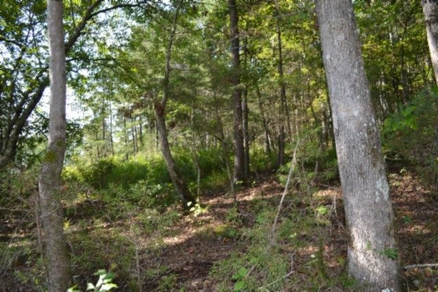 0 Taylor Place Rd, Jamestown, TN 38556