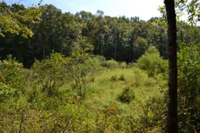 0 Taylor Place Rd, Jamestown, TN 38556