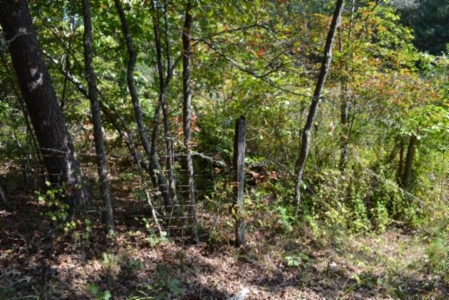 0 Taylor Place Rd, Jamestown, TN 38556