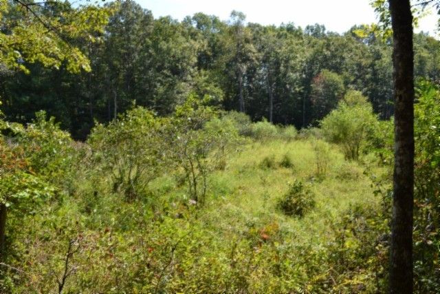 0 Taylor Place Rd, Jamestown, TN 38556