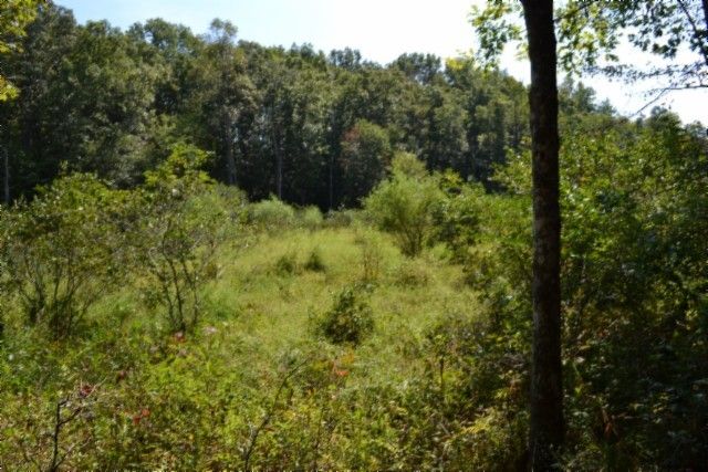 0 Taylor Place Rd, Jamestown, TN 38556