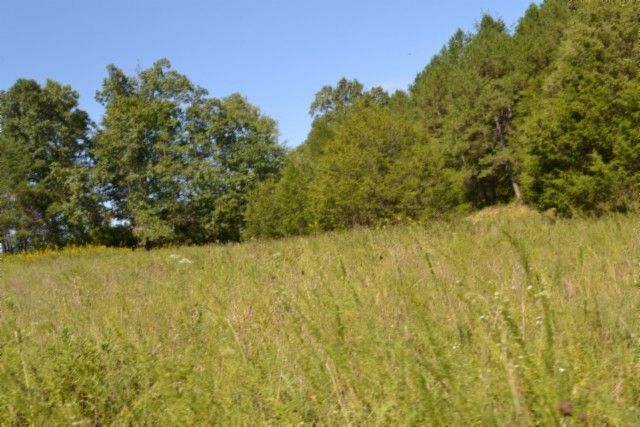 0 Taylor Place Rd, Jamestown, TN 38556