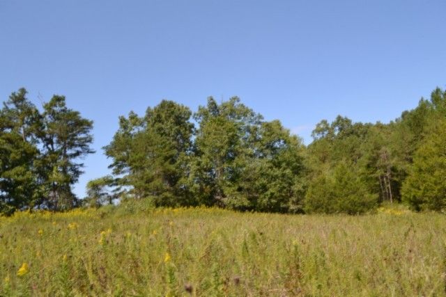 0 Taylor Place Rd, Jamestown, TN 38556