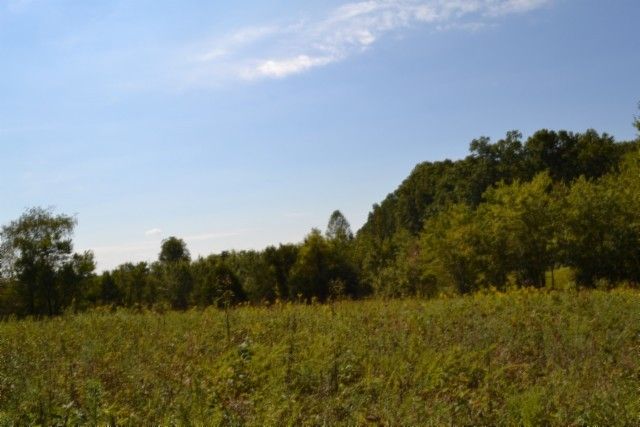 0 Taylor Place Rd, Jamestown, TN 38556