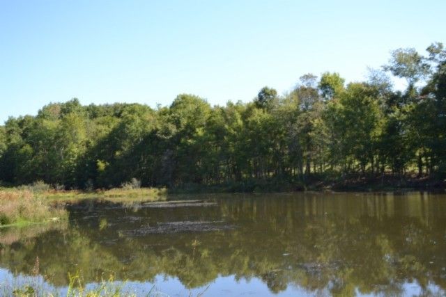 0 Taylor Place Rd, Jamestown, TN 38556